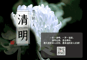 动图.gif