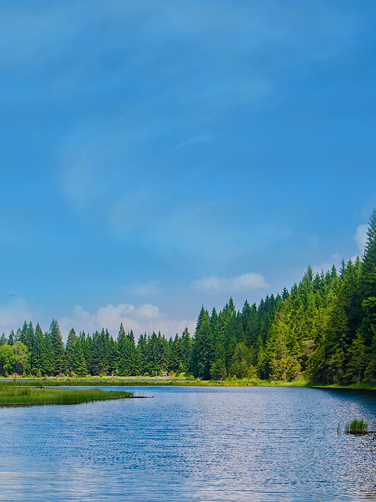 ���28��(�й�ƽ̨)�ٷ���վ