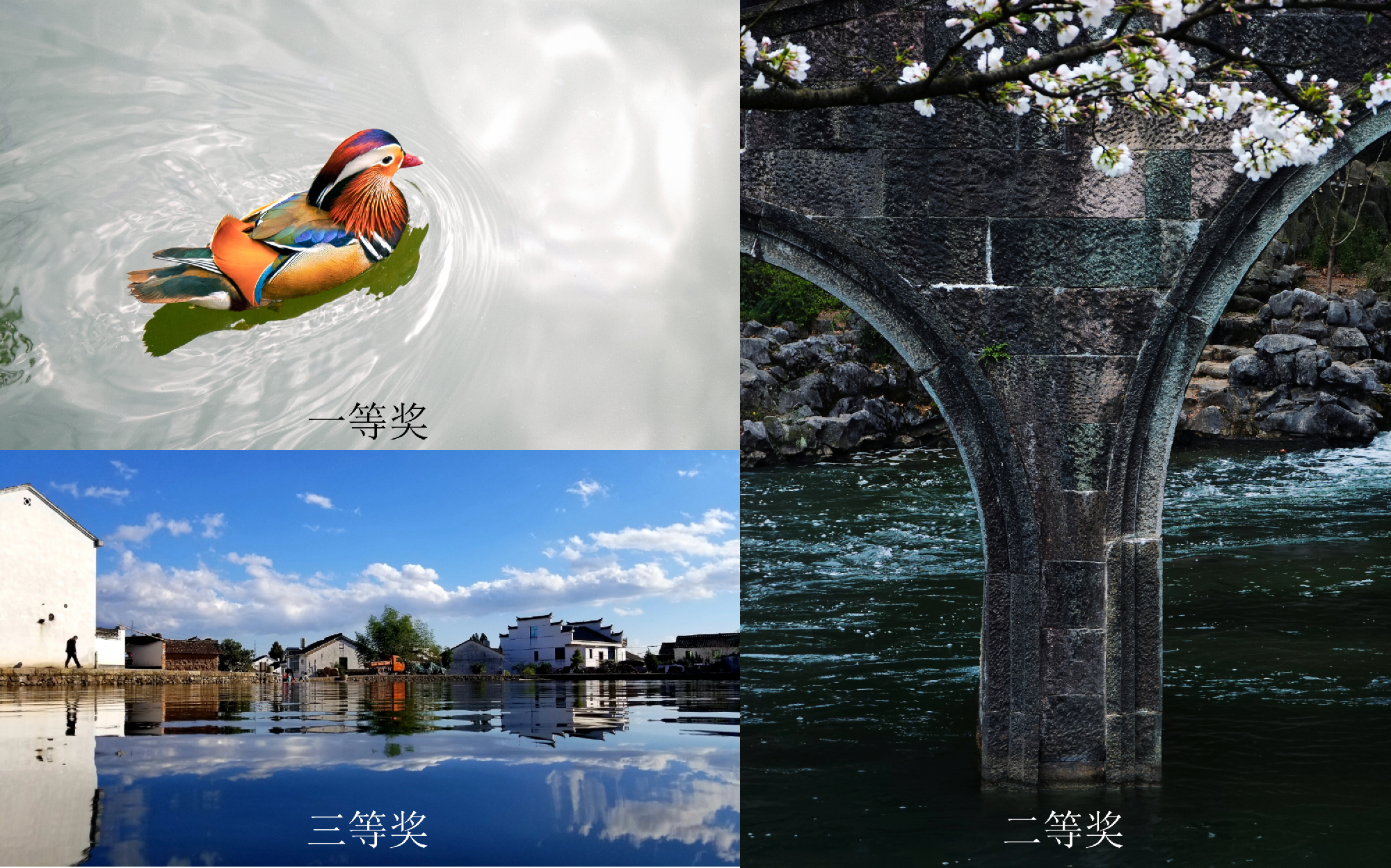 ���28��(�й�ƽ̨)�ٷ���վ