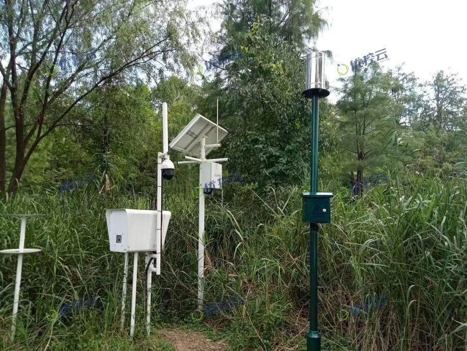 ���28��(�й�ƽ̨)�ٷ���վ